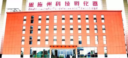 恩施創業扶持政策解讀 房租減免與資金支持，創業孵化器助力夢想啟航